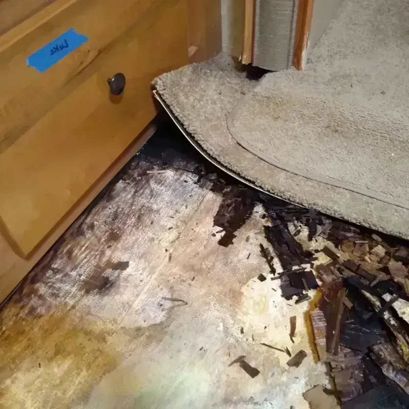 Best Wood Floor Water Damage Service in South Riding, VA